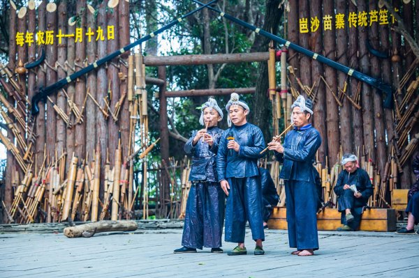 贵州岜沙苗寨在哪里
