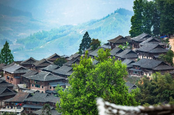 贵州岜沙苗寨在哪里