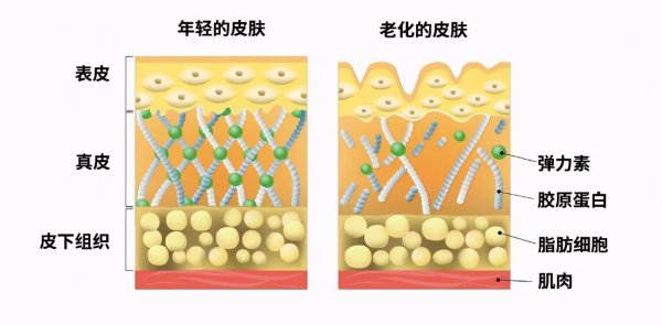 00后如何抗衰老