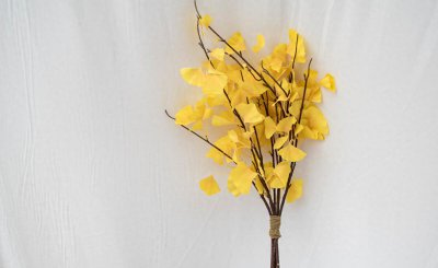 客厅摆放什么仿真花最吉利 家居仿真植物选择要点