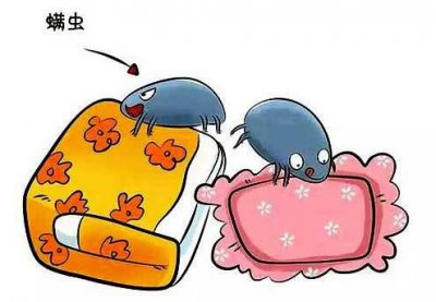 紫外线除螨仪真的能除螨吗 去除螨虫好方法