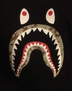 鲨鱼外套是什么衣服 Bape是什么档次