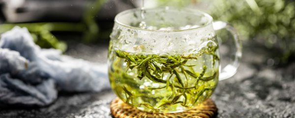 桑叶茶什么作用与功效