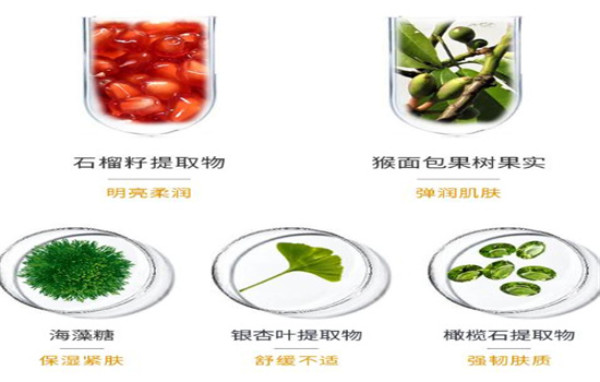 宿系之源磨砂膏好用吗