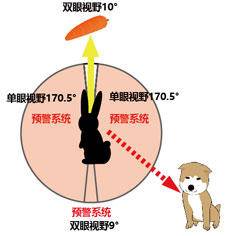 为什么接吻时要闭上眼