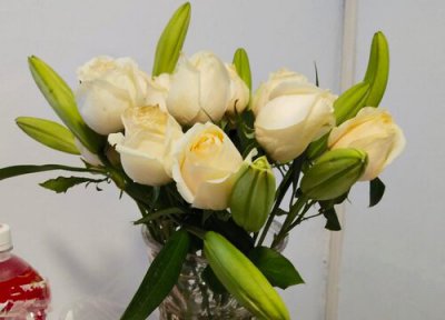 32朵玫瑰花花语 32朵玫瑰花的花语是什么意思