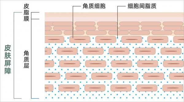 卸妆乳哪款好用