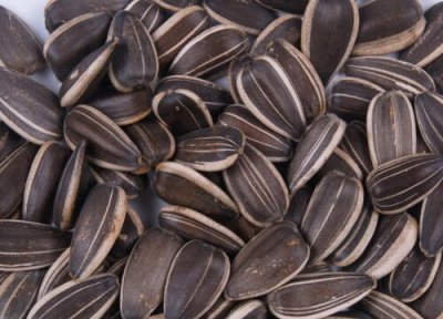 瓜子含糖量 瓜子含糖量高吗