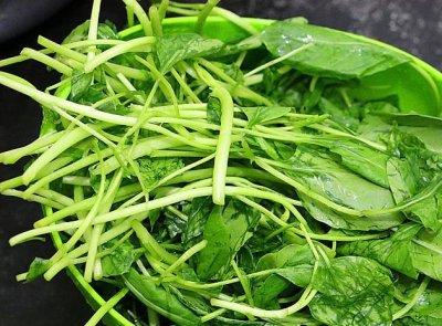 新鲜橄榄菜样子 新鲜橄榄菜长什么样子