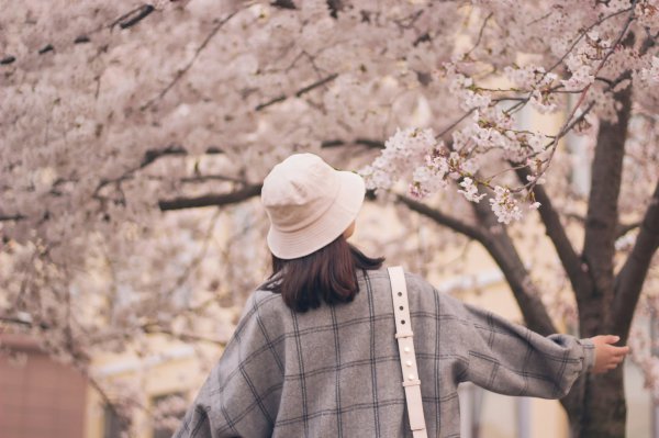 爱上花心女人怎么办