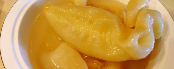 鱼胶的功效及吃法鱼胶的做法