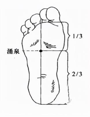 当归精油怎么使用