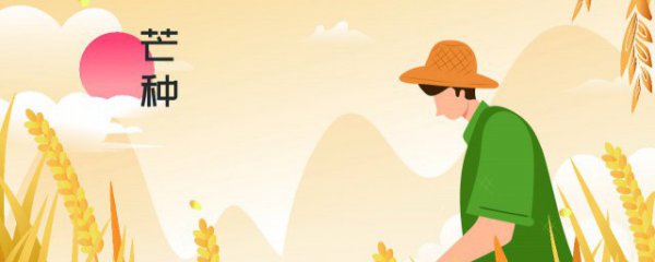 芒种节气养生注意事项