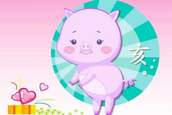 生肖猪和龙的属相适合做夫妻吗