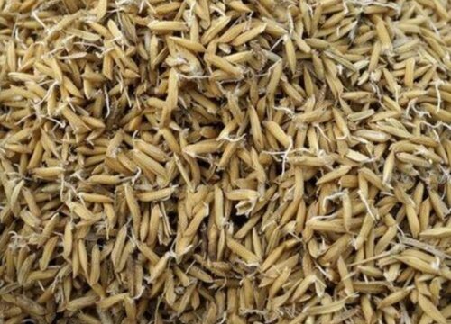 黄金米的功效与作用及食用方法