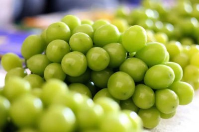 阳光玫瑰含糖量 阳光玫瑰含糖量高吗