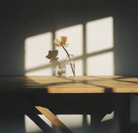 为什么吵吵闹闹分分合合却离不开彼此