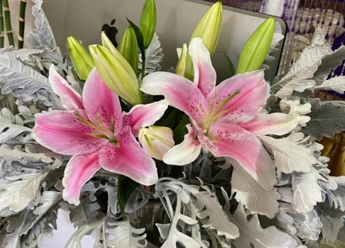 百合花能放卧室吗