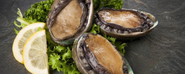 鲜鲍的功效与作用