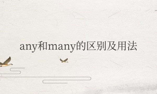 any和many的区别及用法