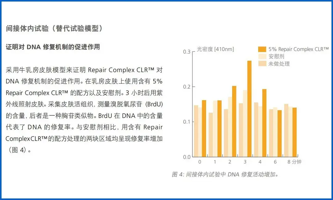 雅诗兰黛小棕瓶怎么样