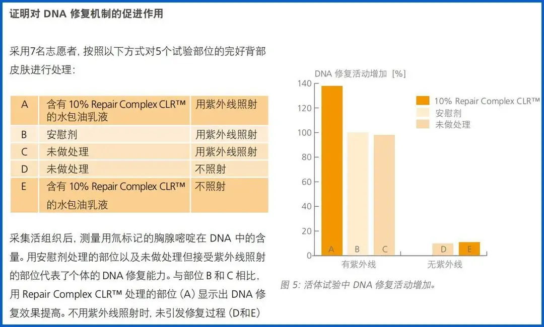 雅诗兰黛小棕瓶怎么样