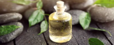 茶油可以用来涂脸吗 纯天然茶油涂脸有什么好处