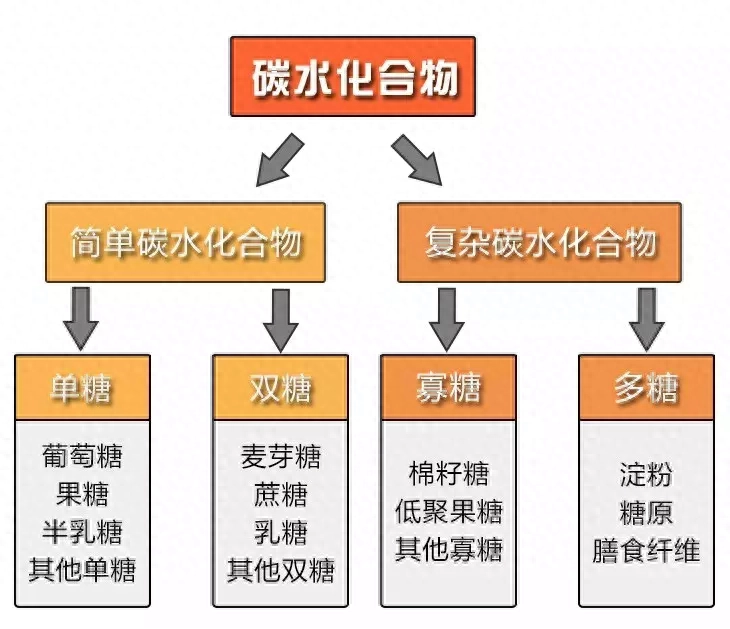 碳水是什么意思