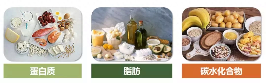 碳水是什么意思