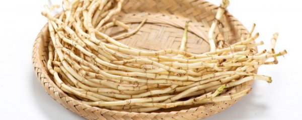 鱼腥草是有什么作用