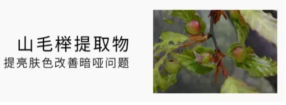 悦薇颈霜怎么样
