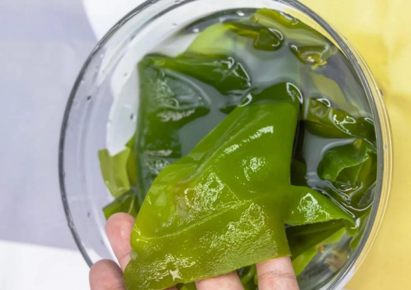 海带芽是裙带菜吗