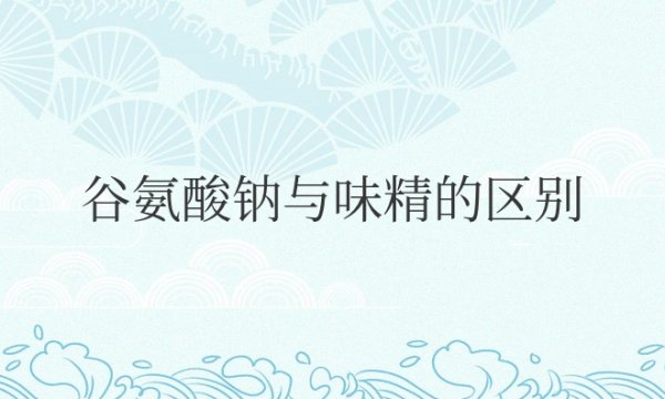 谷氨酸钠与味精的区别是什么
