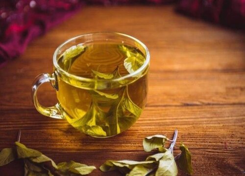 桑叶茶一天喝多少为宜