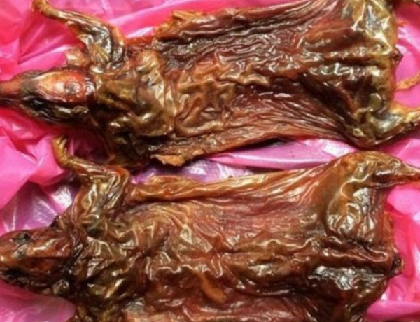 福建老鼠干是哪里的特产