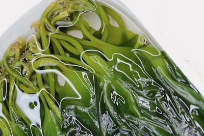 海带芽是裙带菜吗 海带芽与裙带菜区别