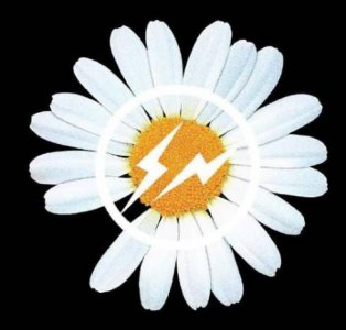 小雏菊品牌logo 小雏菊logo是什么牌子