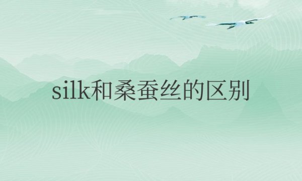 silk和桑蚕丝的区别