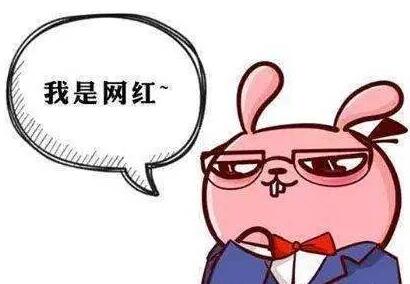 网红为什么红不久