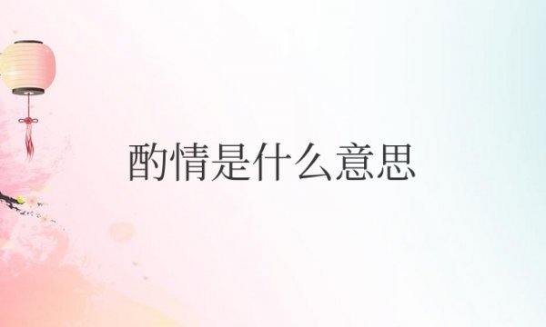酌情是什么意思解释