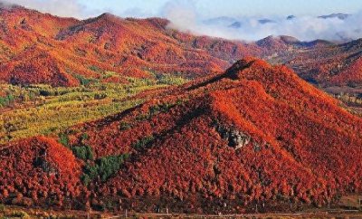 黑龙江绥化属于哪个市管辖 绥化地理位置、人口等情况