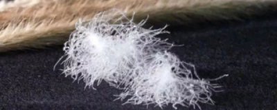 商家有权利不卖给顾客吗？一些商家（C-S）的羽绒服声称含有100%羊绒。你应该