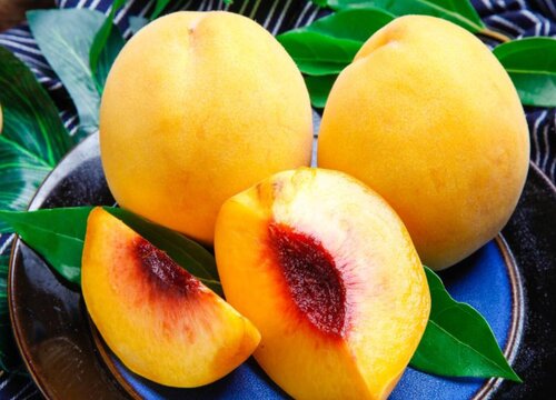 六味果是什么水果