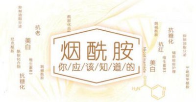 红血丝可以用烟酰胺吗 用烟酰胺爆痘怎么办