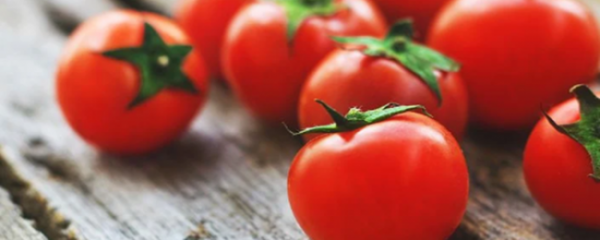 吃多少西红柿可以减肥