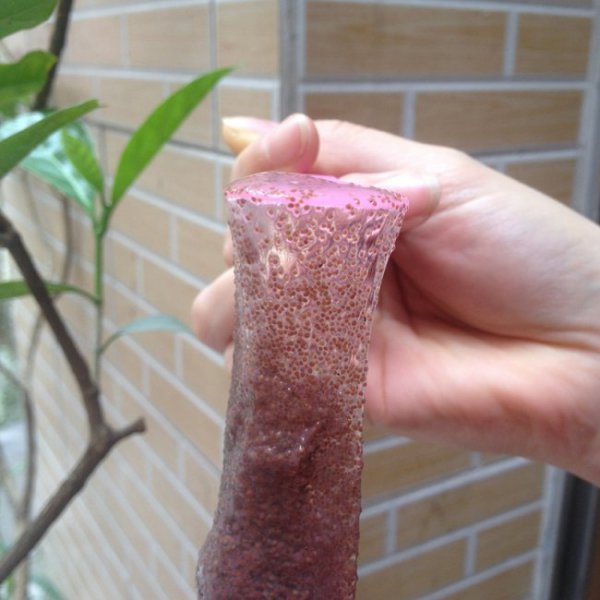海藻面膜的功效与作用可以天天用吗