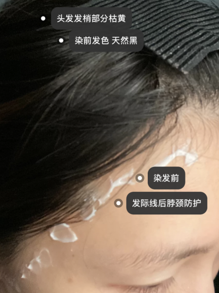 什么是巴黎画染