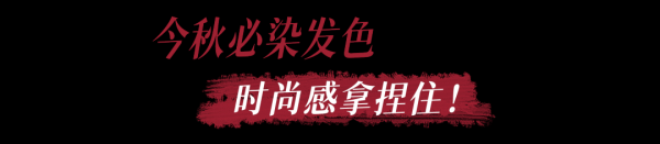 什么是巴黎画染