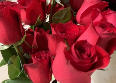 代表生日祝福的花 什么花的花语是生日祝福