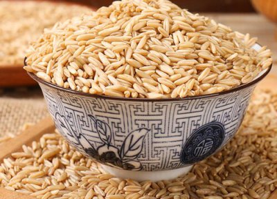 内蒙古燕麦成熟 内蒙古燕麦什么时候收割